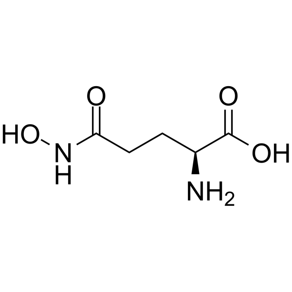 L-Glutamic γ-monohydroxamate 1955-67-5